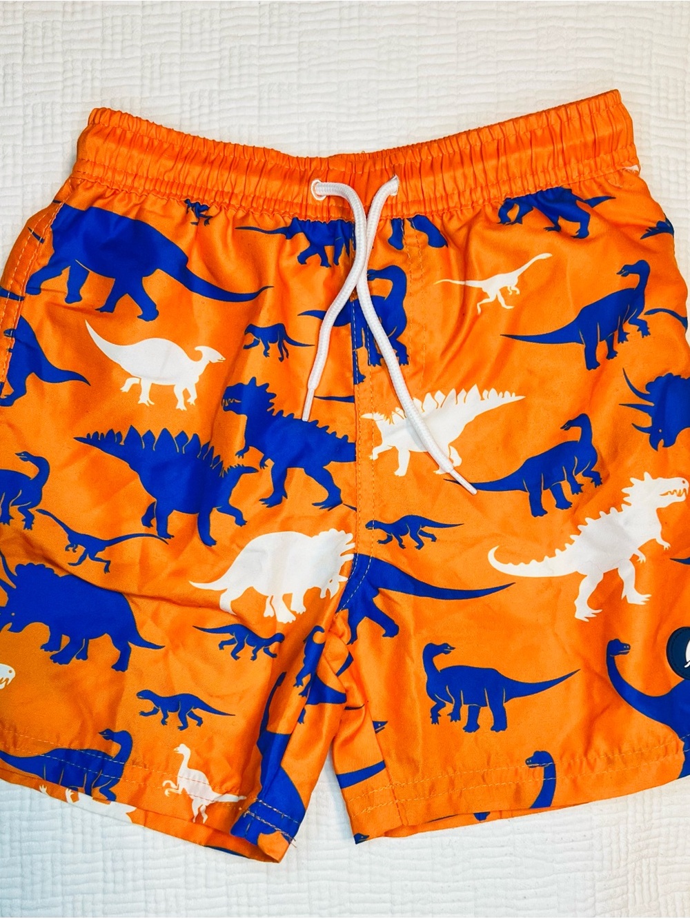 Orange Swim Shorts with Blue Dinosaur Print